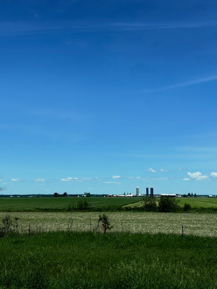 Green fields beneath a blue sky